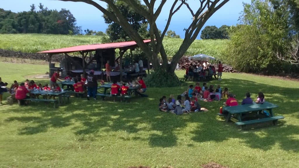Picnic lunch for a school group at the Portuguese Stone Oven