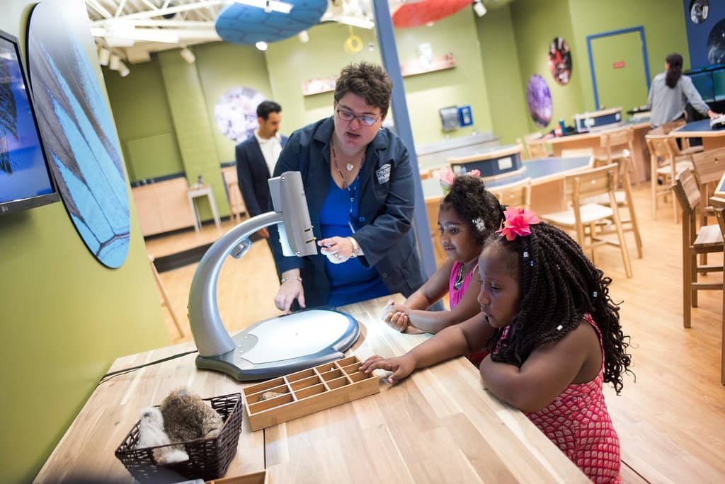 Art & Activity Rooms