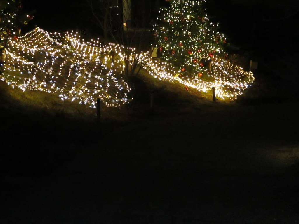 Shaun the Sheep Event