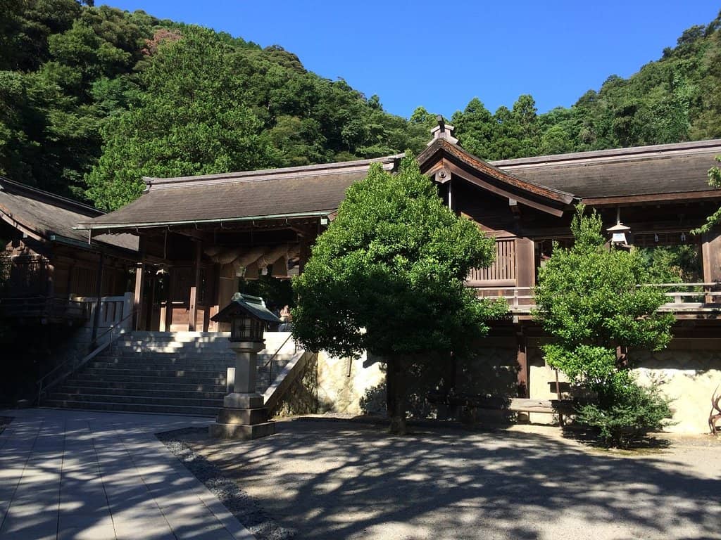 Musical Instrument Collection