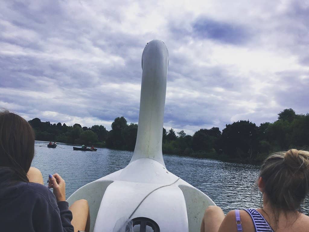 The Lake