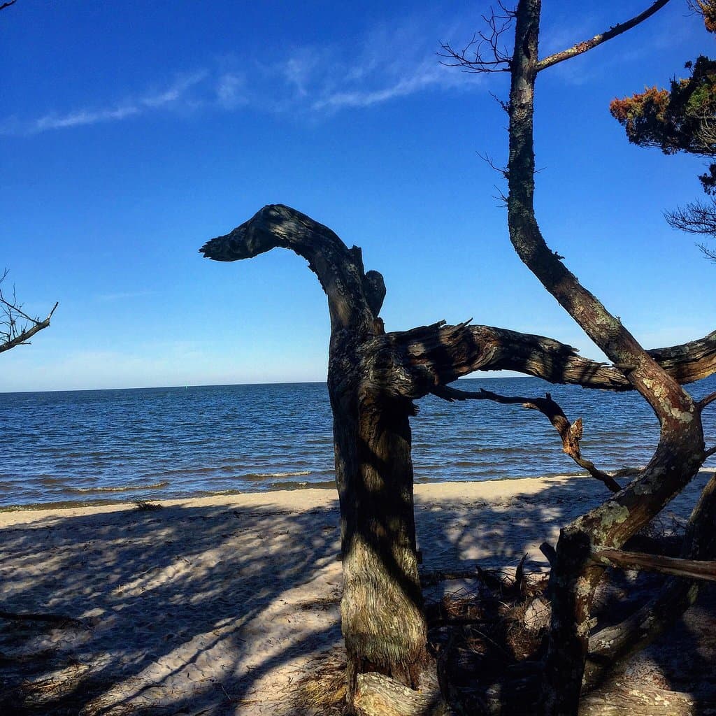 Springer’s Point Nature Preserve