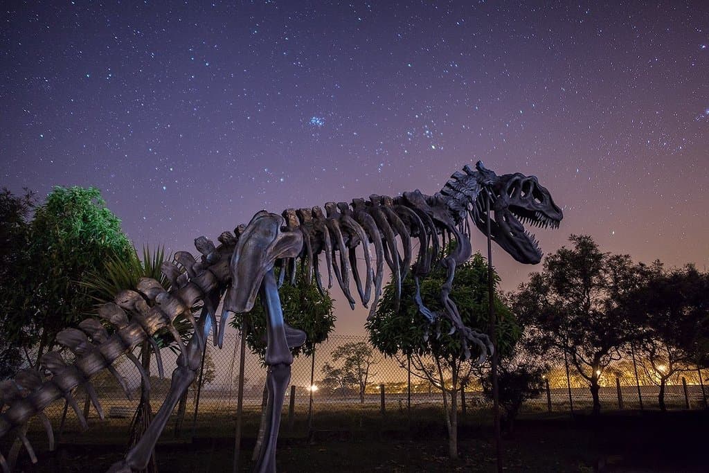 Nosso mascote. Réplica em escala real de um Alossauro fragilis.