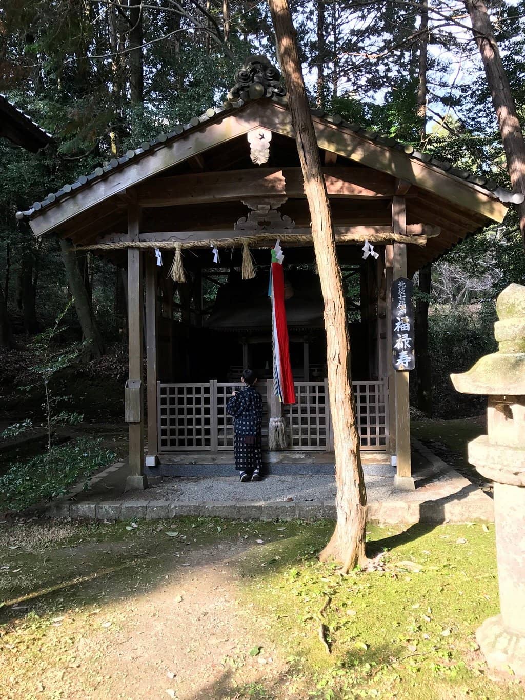 Highlights