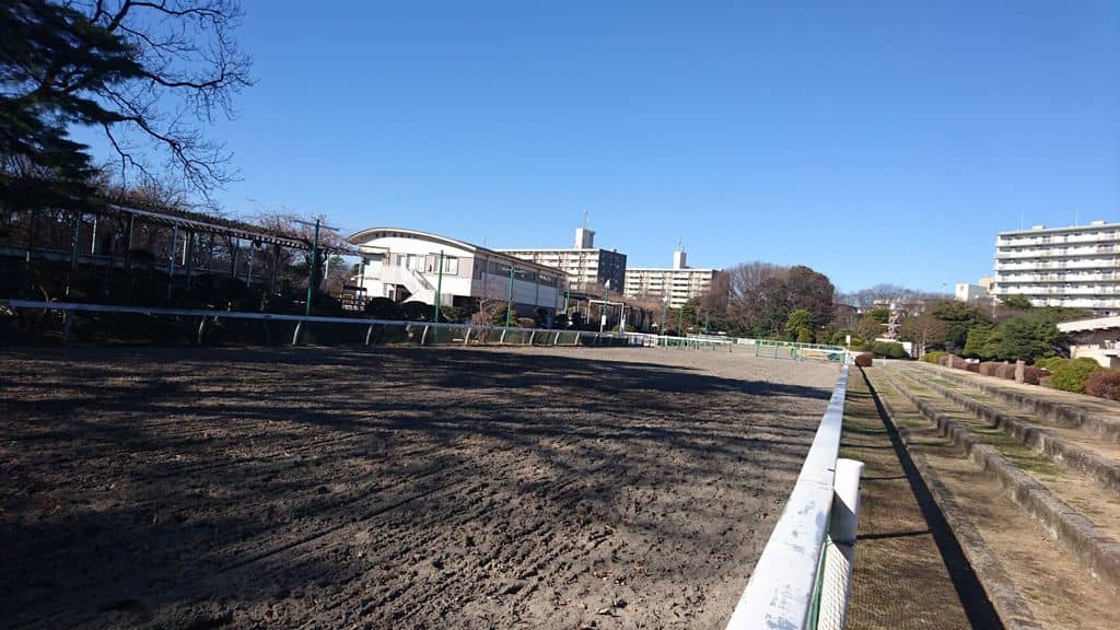 Olympic Equestrian Venue