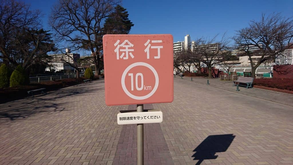 Family Fun Playground