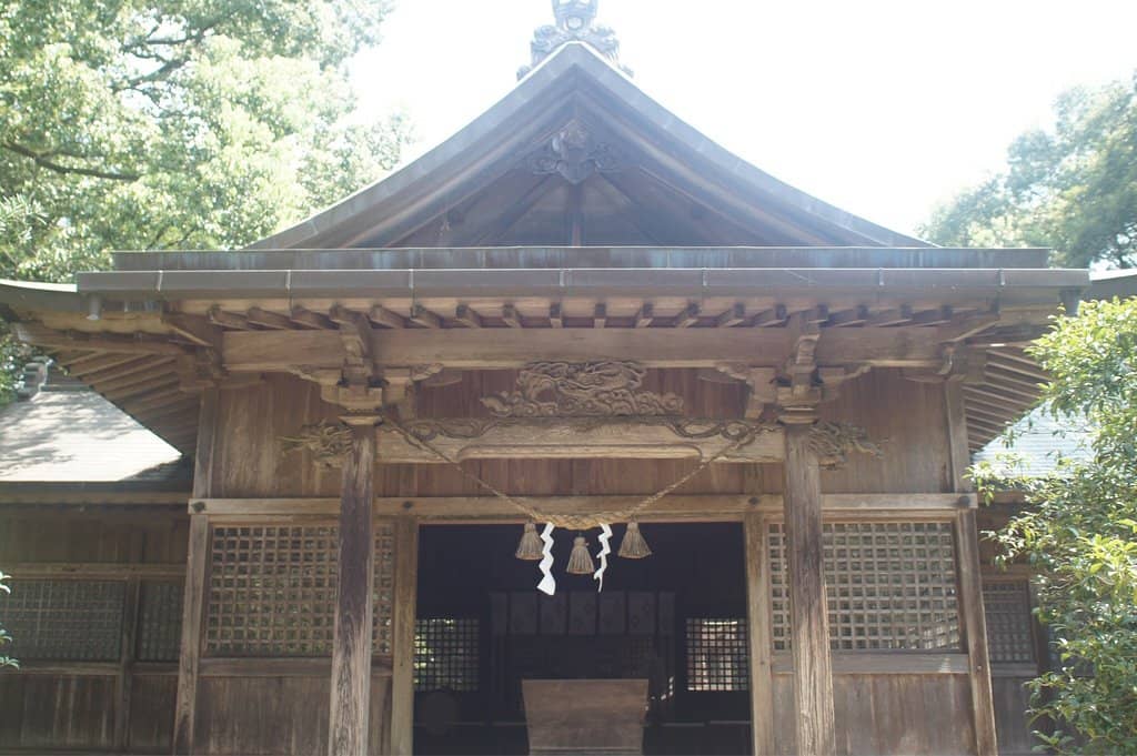 Vertical photo