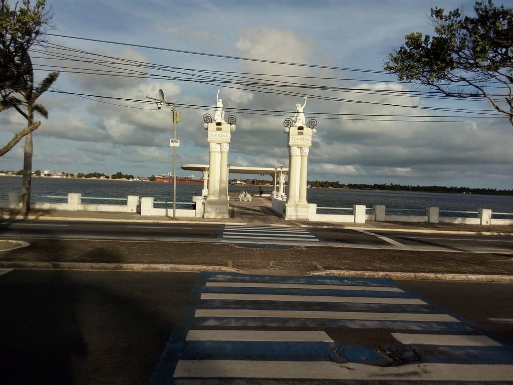 Vertical photo