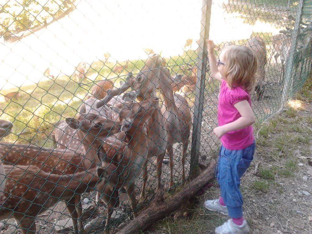Sanctuary Madonna delle Grazie