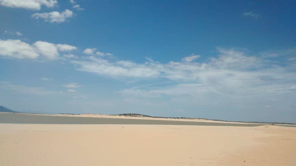 Exotic Natural Beauty