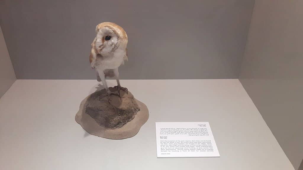90th Anniversary Exhibition