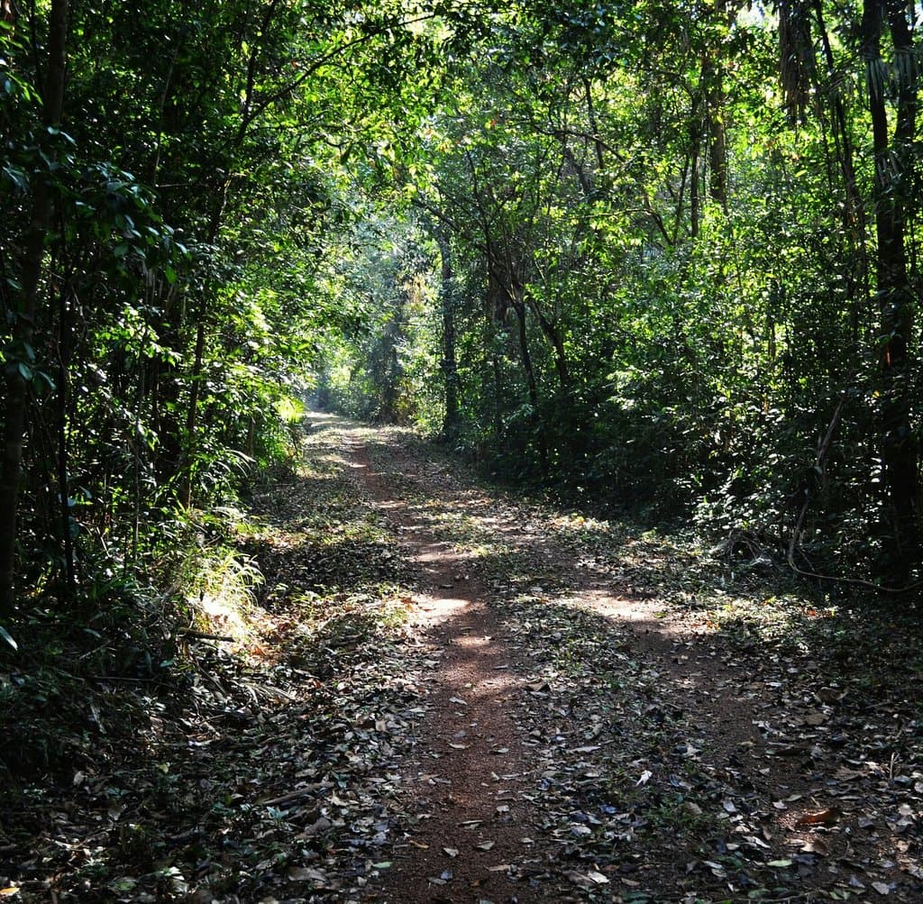 Cotigao Wildlife Sanctuary