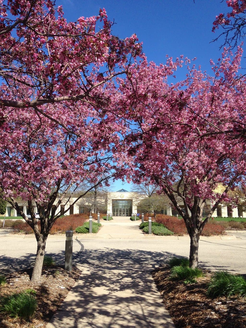 Temple of ECK, Summer 2016