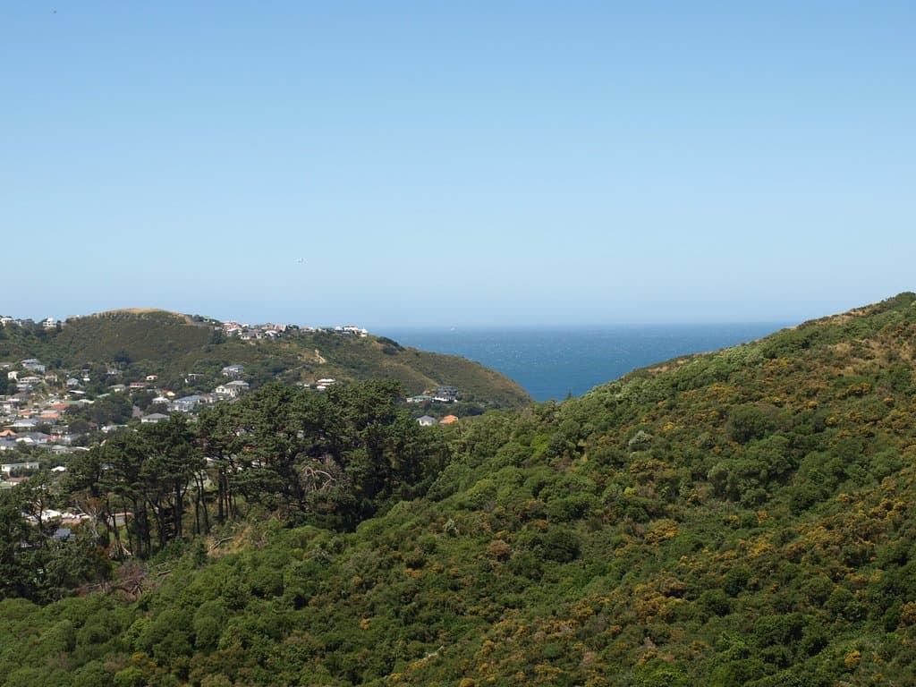 View from City to Sea Walkway