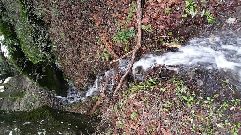 Golden Hour Rolling Hills