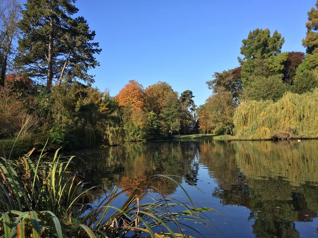 Ook in de herfst is het de moeite waard om het Wilhelminapark te bezoeken.