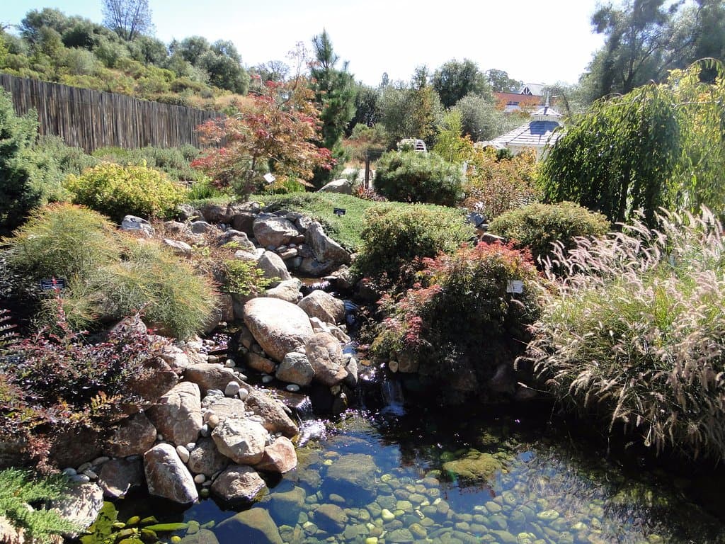 Japanese Garden