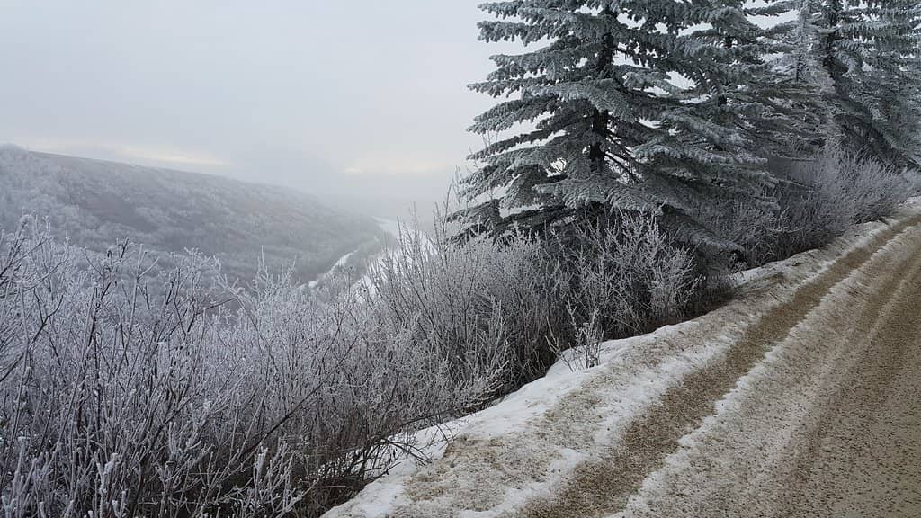 Summer Adventure Park