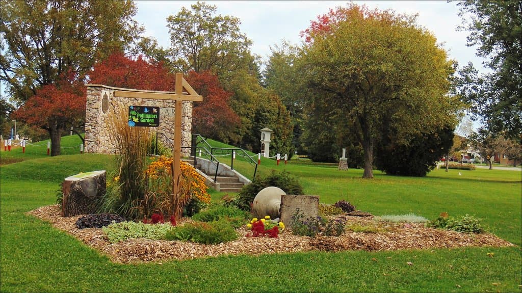 View in Park