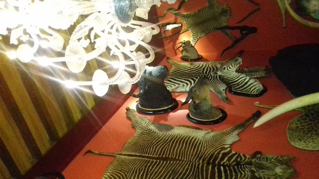 Paleontology Discoveries