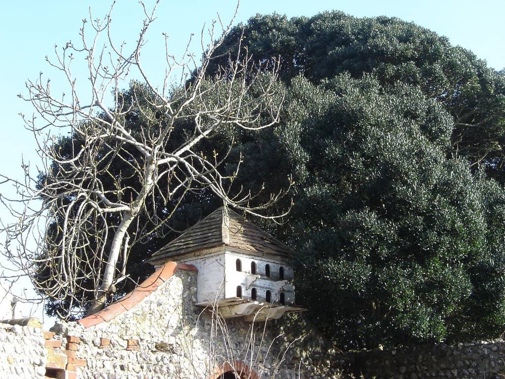 Vertical photo