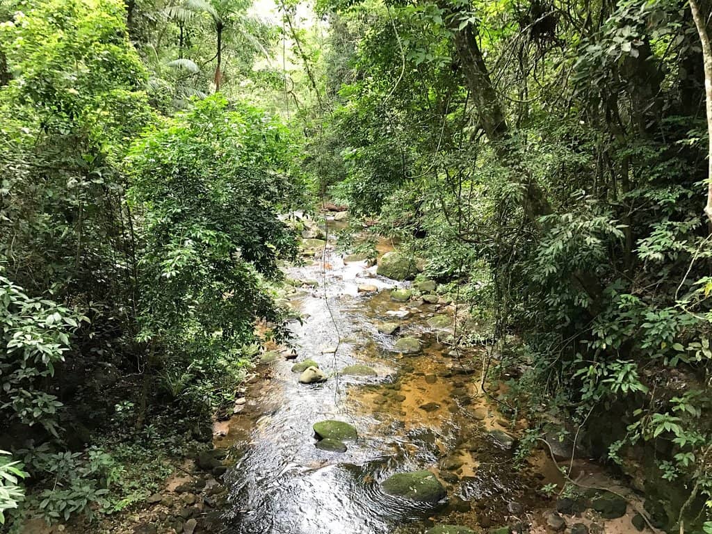 Cascading Waterfalls