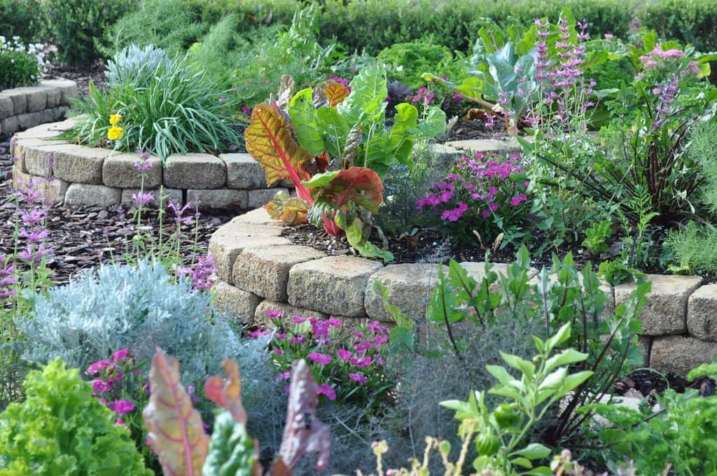 Butterfly Garden