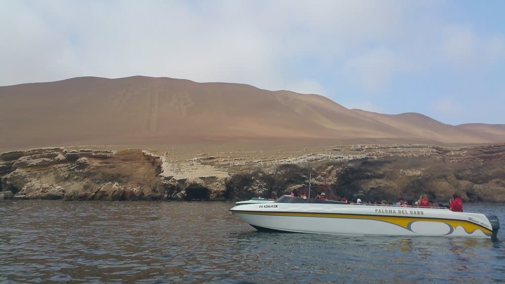 Boat Trip