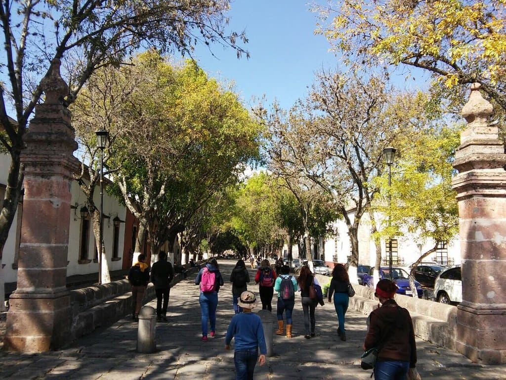 Bosque Cuauhtémoc