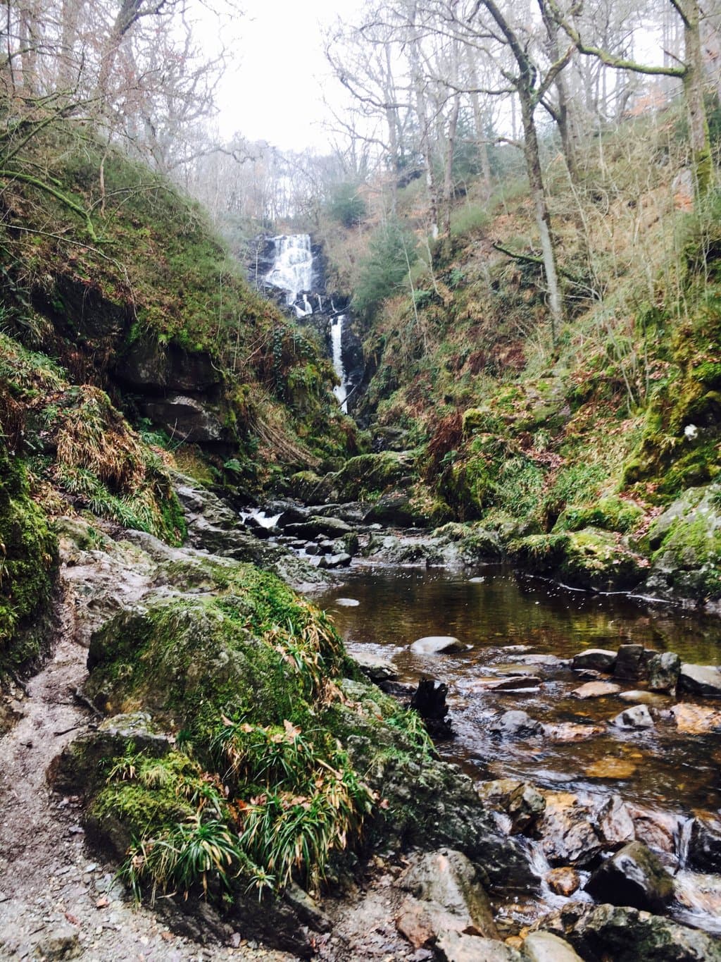 Queen Elizabeth Forest Park