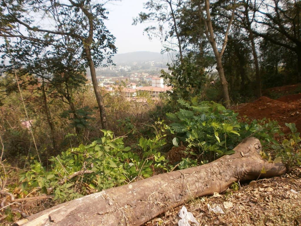 Serene Prayer and Meditation Space