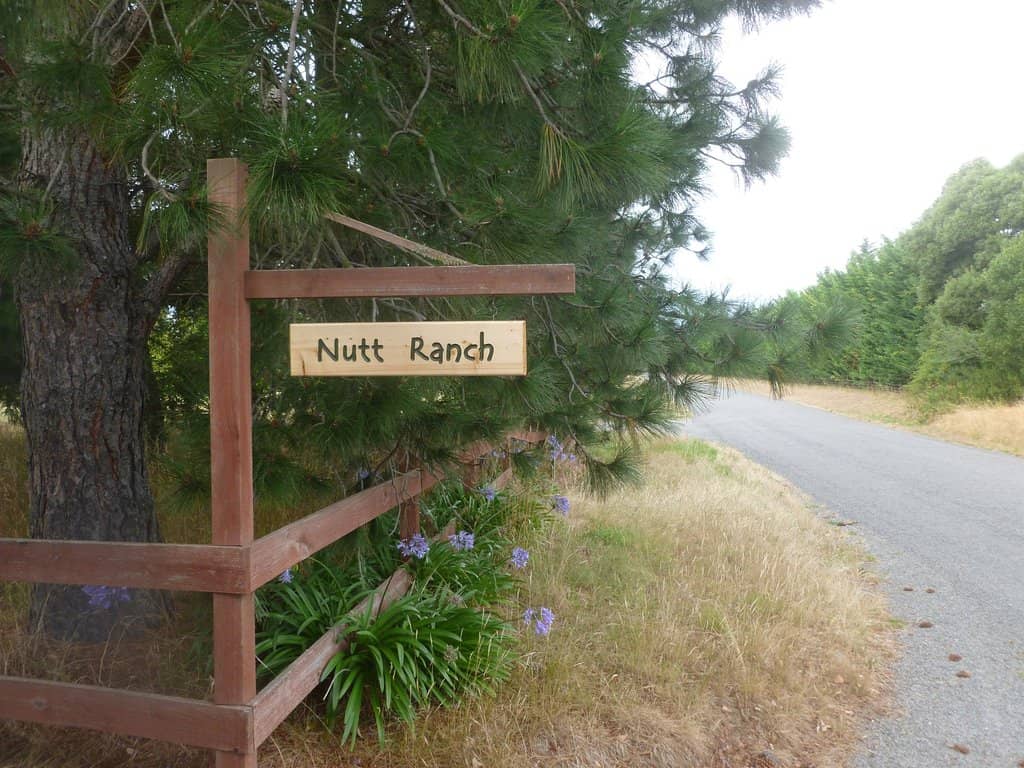 Artisanal Baked Goods