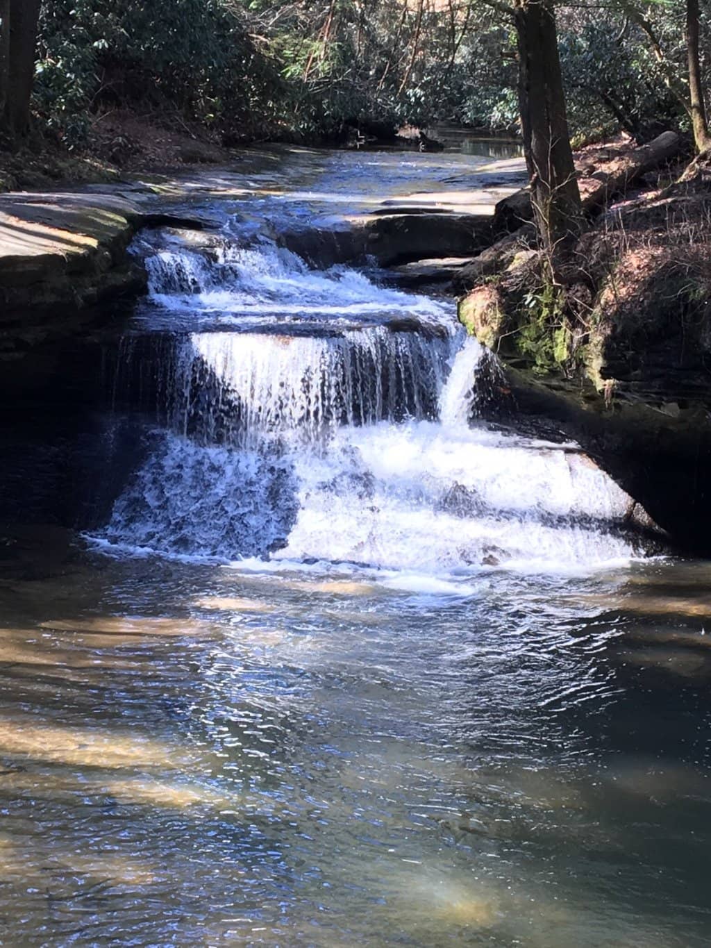 Natural Bridge State Park
