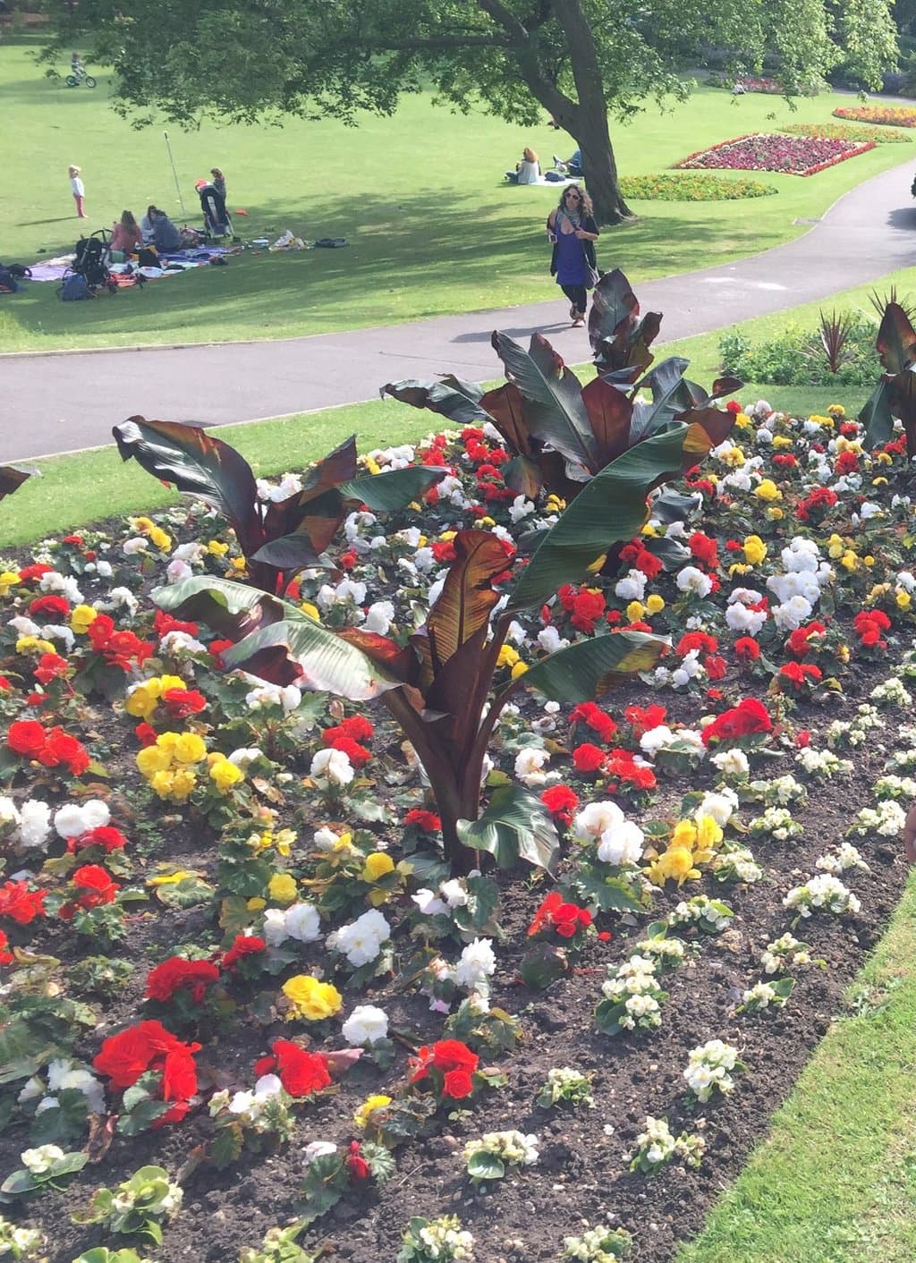the gardens