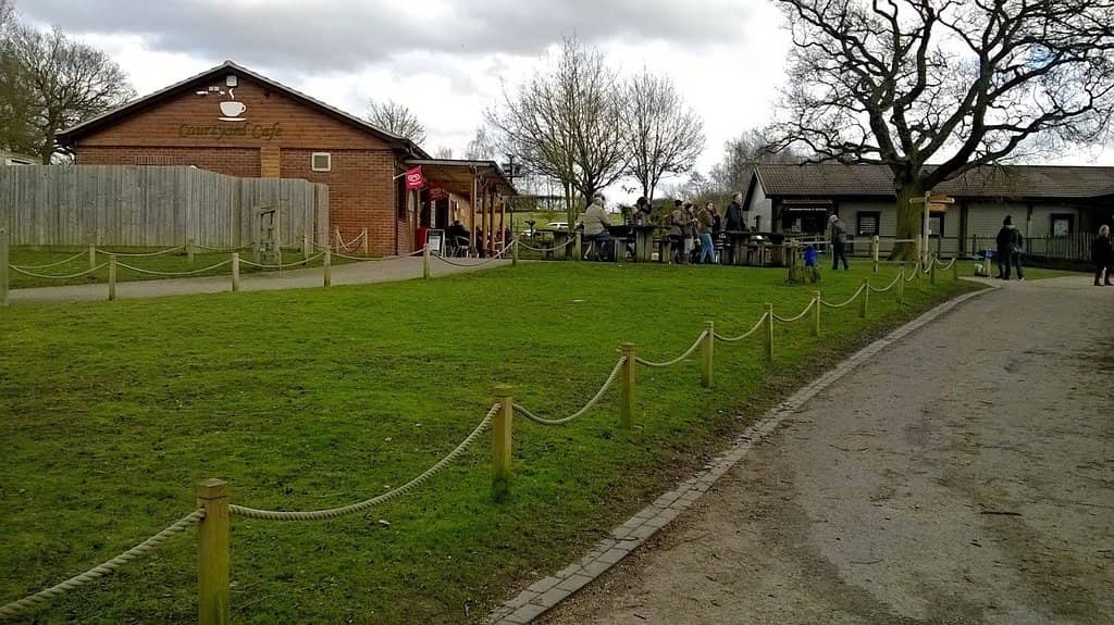 Play Areas