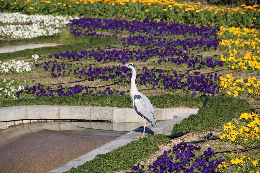 住吉公園