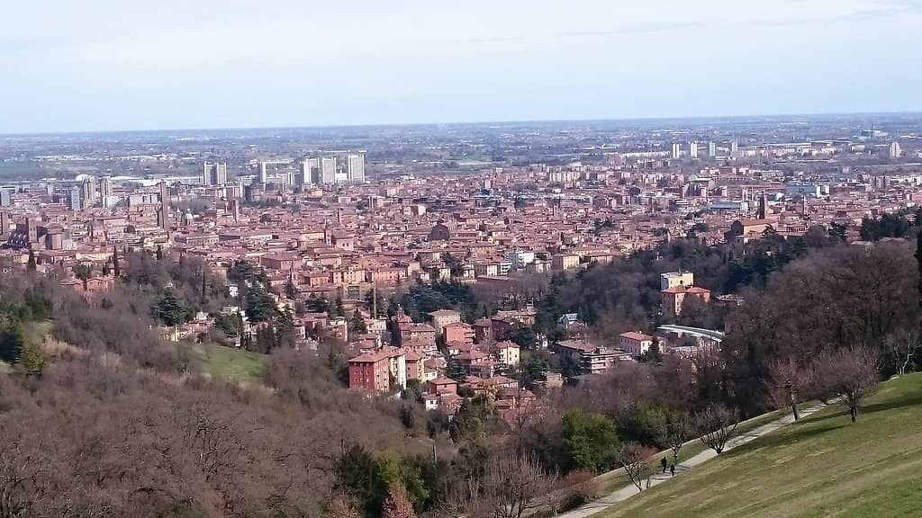 Tranquil Tree-Lined Trails