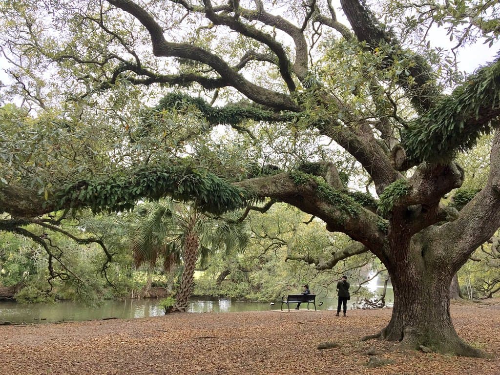 Lovely spot for pictures