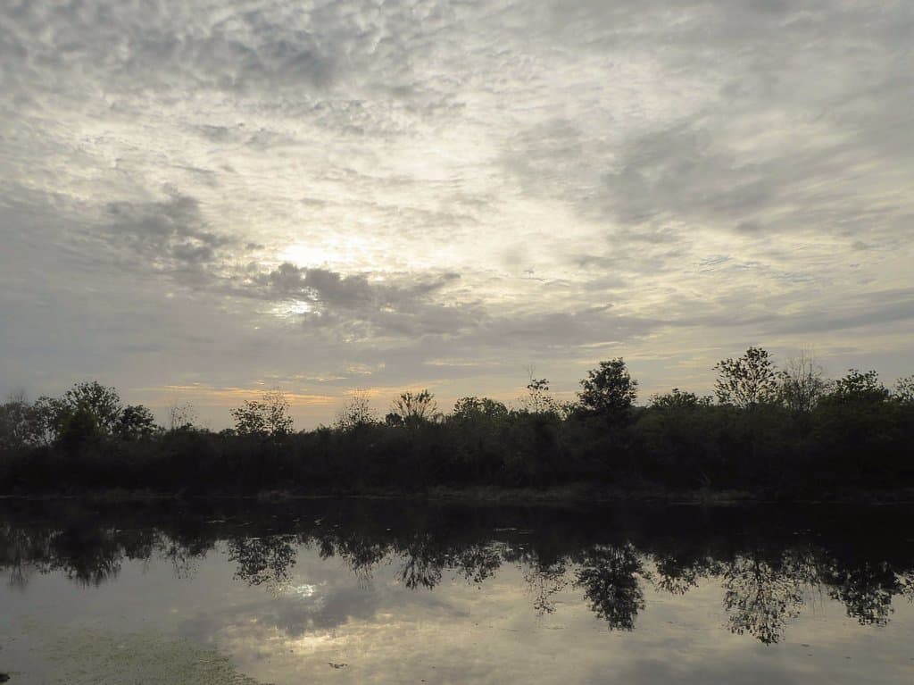 Hicks Ditch early morn