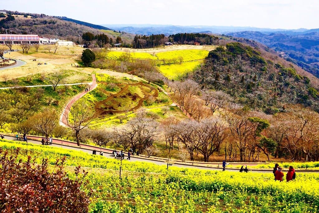 Mother Farm Chiba