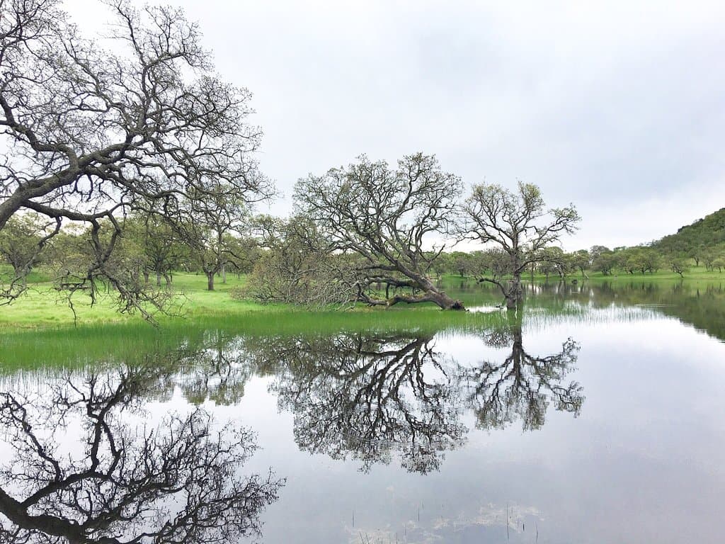 Rockville Hills Regional Park