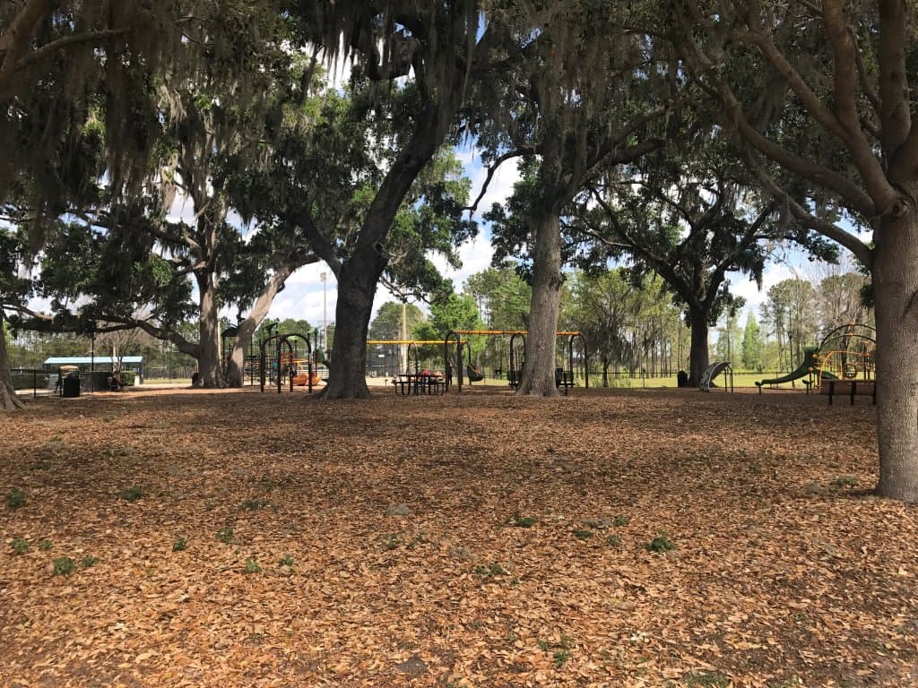 Great free skatepark, playground has been recently replaced. Nice park