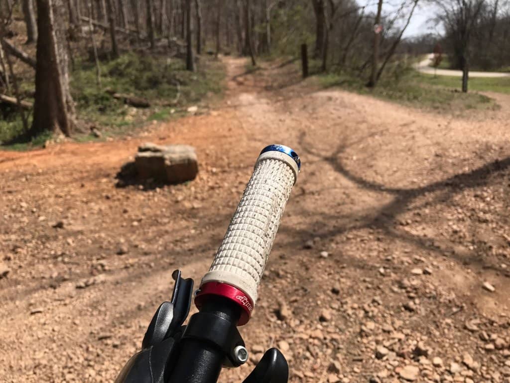 Beginner-Friendly Trails