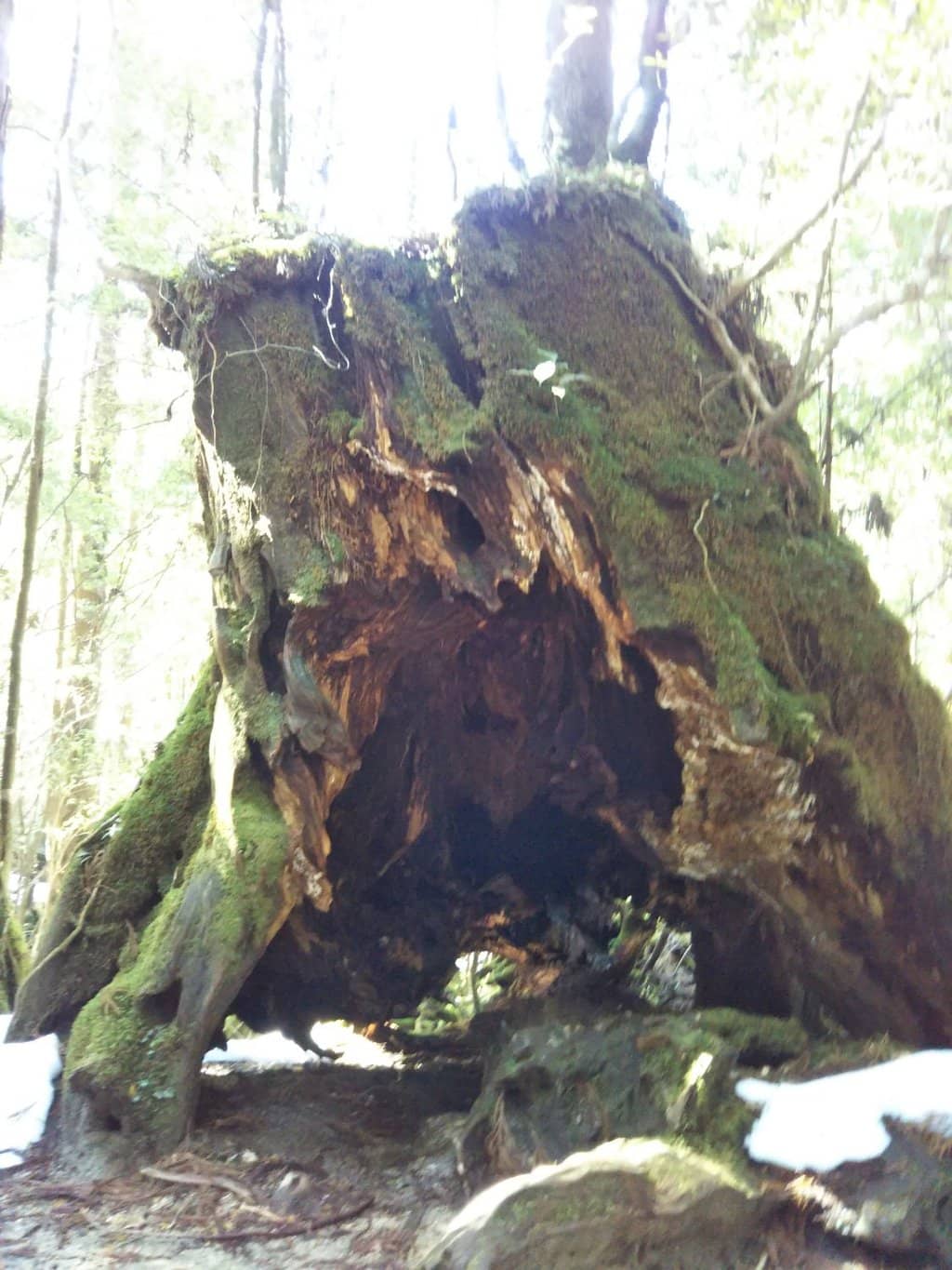 Vertical photo