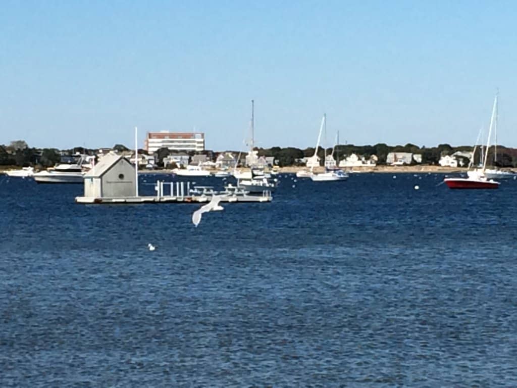 Ocean Views & Boat Watching