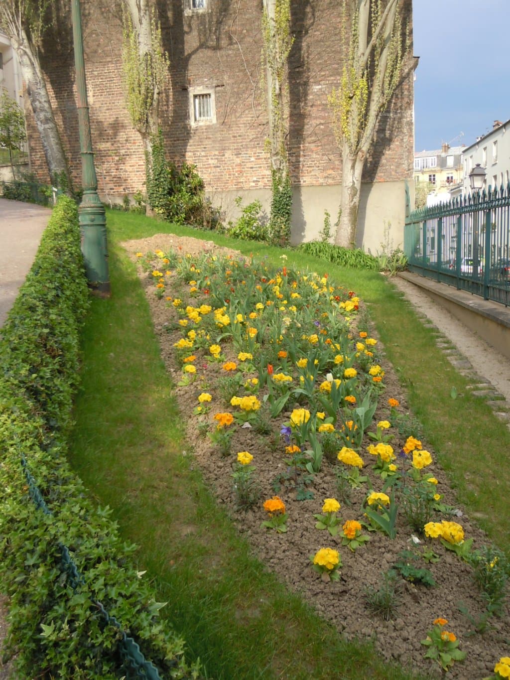 Parterre fleuri
