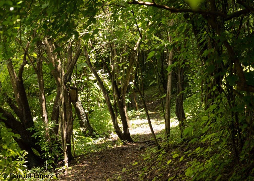 Biodiversity Hotspot