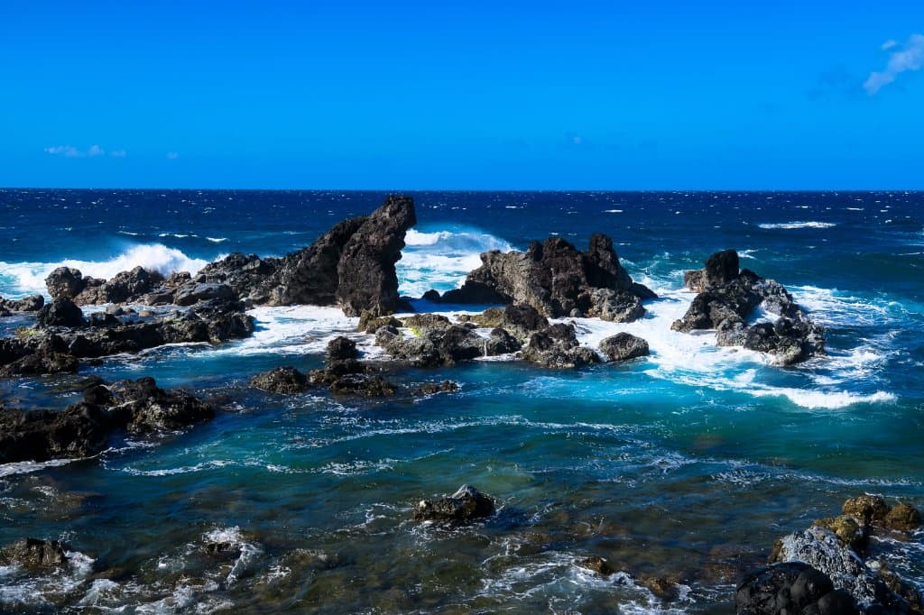 north shore surf
