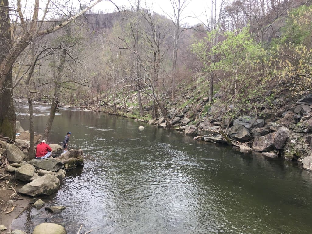 Herbert Holt Park