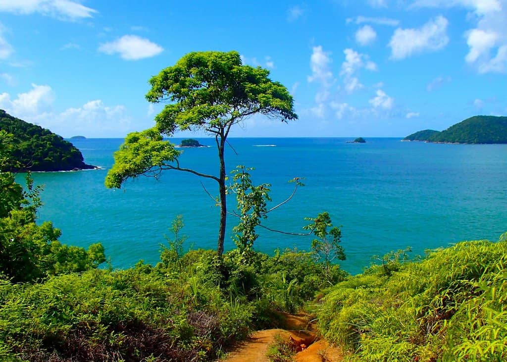 Praia do Cedro